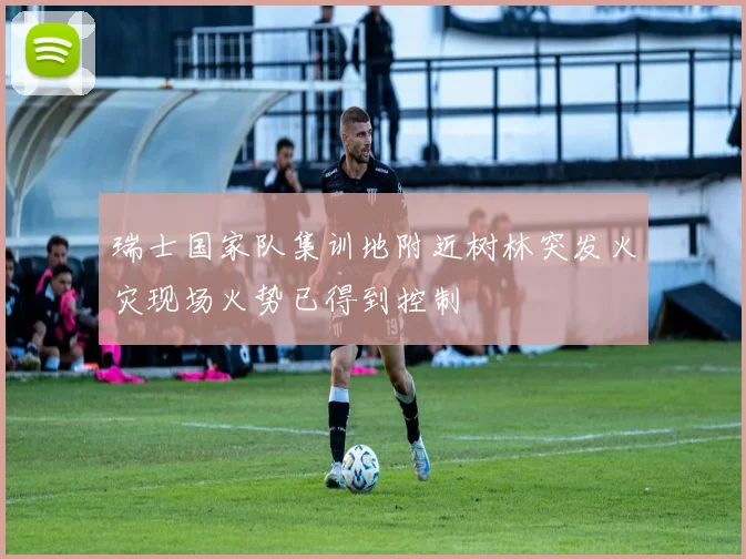 瑞士国家队集训地附近树林突发火灾现场火势已得到控制